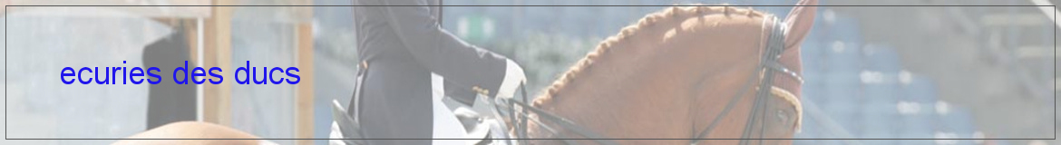 ecuries des ducs